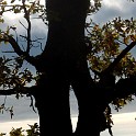 DSCN8222 2